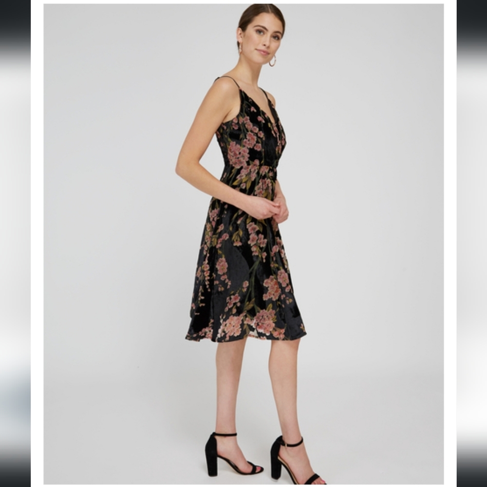 NWT Dex XS Velvet Burnout Dress, wrap style, midi length, with floral design - Picture 6 of 14